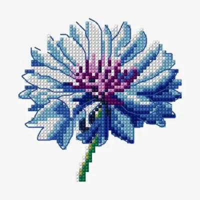 Bleuet Flower