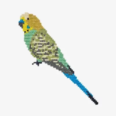 Budgie