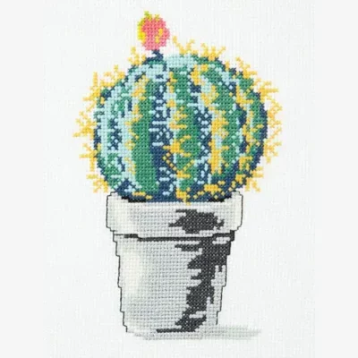 Globe Cactus
