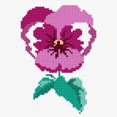 Pink Pansy