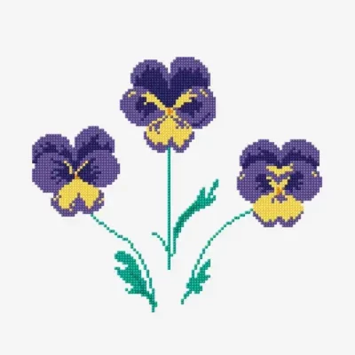 Viola Pansies